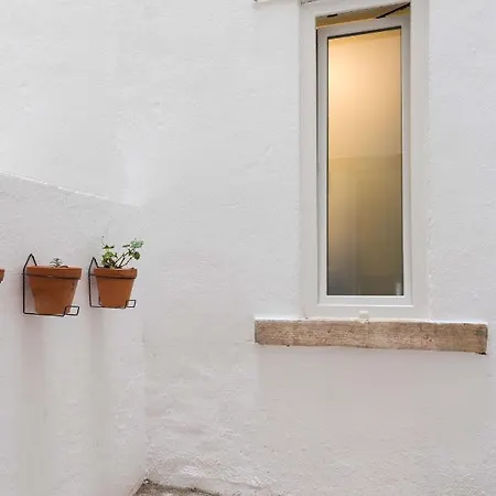 Gorgeous Refurbished Graca Lisbona