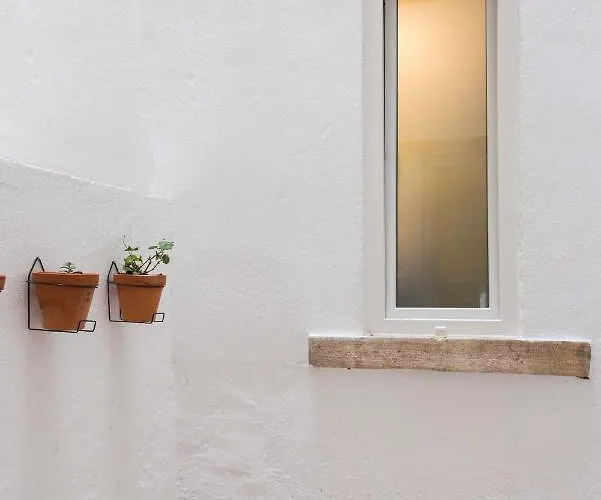 Gorgeous Refurbished Graca Lisboa